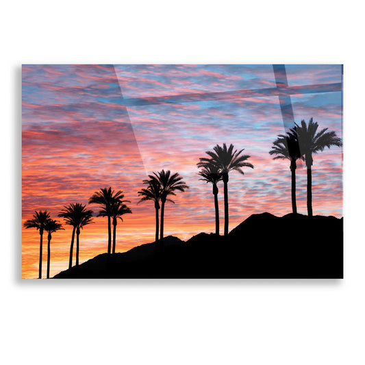 Epic Art 'Palm Tree Sunset' by Dennis Frates, Acrylic Glass Wall Art