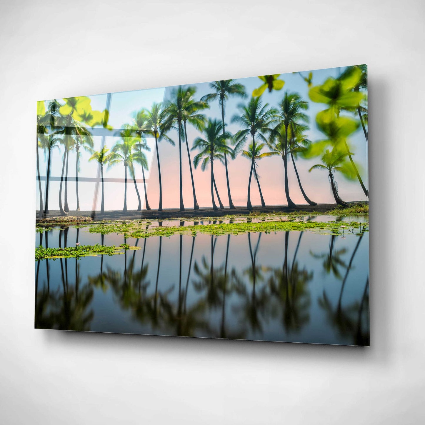 Epic Art 'Palm Tree Reflections' by Dennis Frates, Acrylic Glass Wall Art,16x12