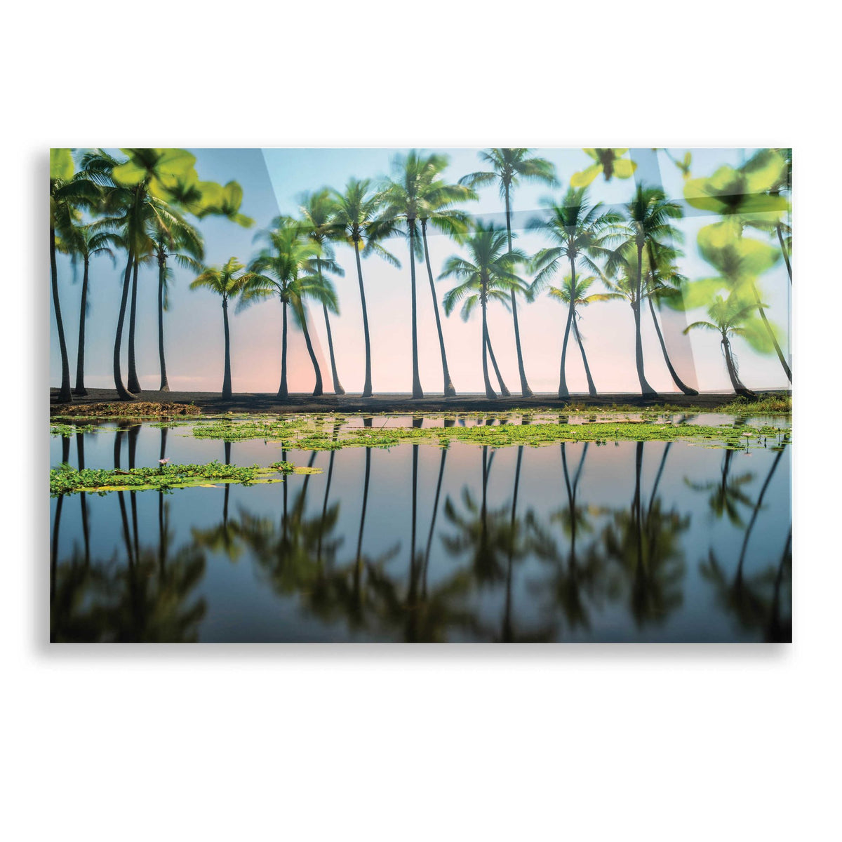 Epic Art 'Palm Tree Reflections' by Dennis Frates, Acrylic Glass Wall Art