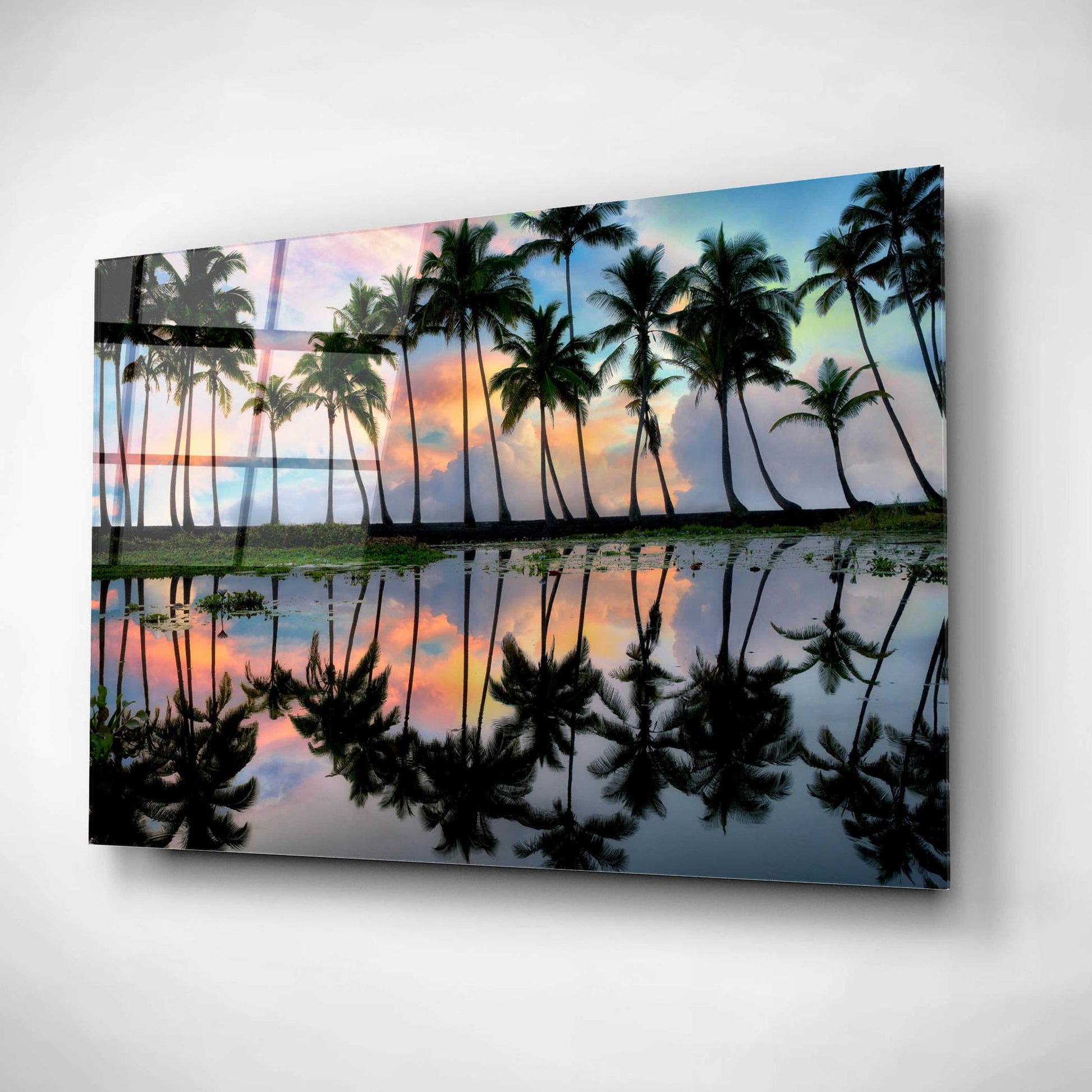 Epic Art 'Palm Reflections' by Dennis Frates, Acrylic Glass Wall Art,16x12