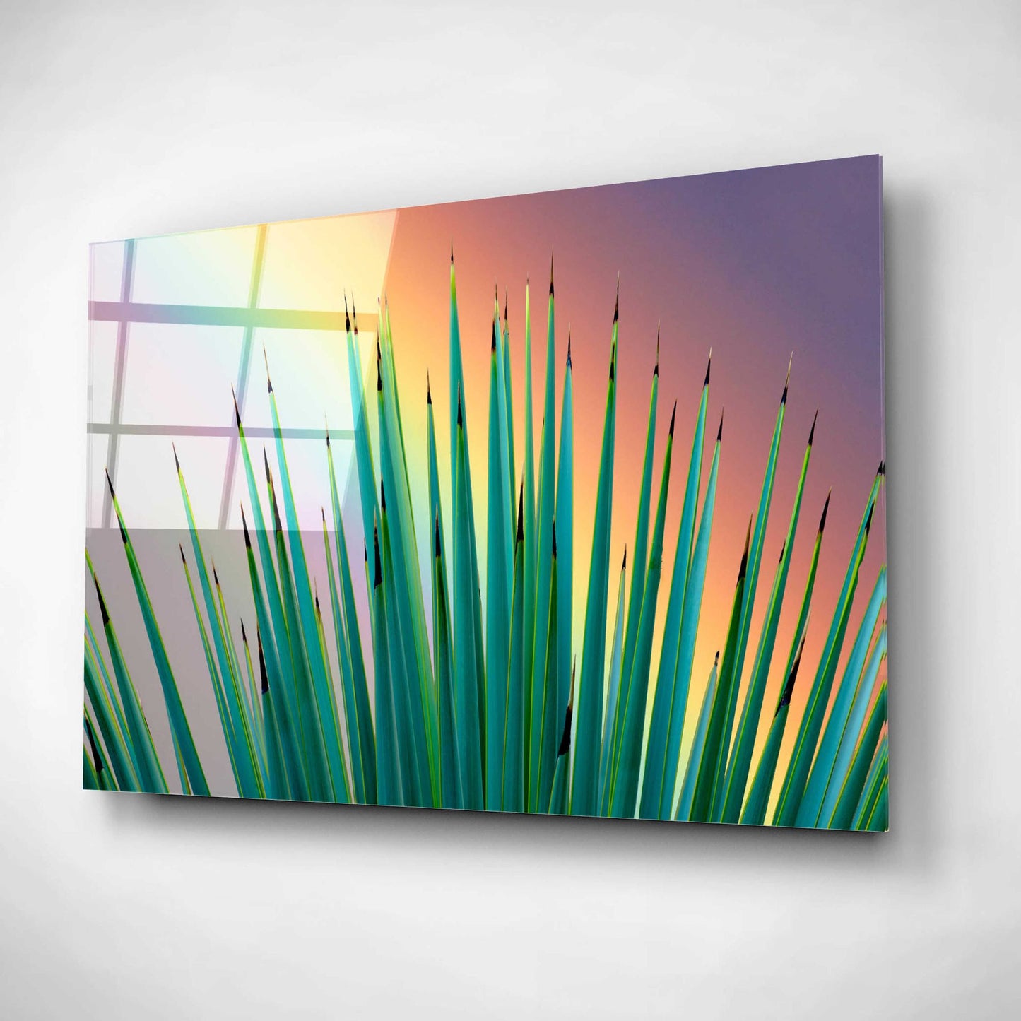 Epic Art 'Prism Plant' by Dennis Frates, Acrylic Glass Wall Art,16x12