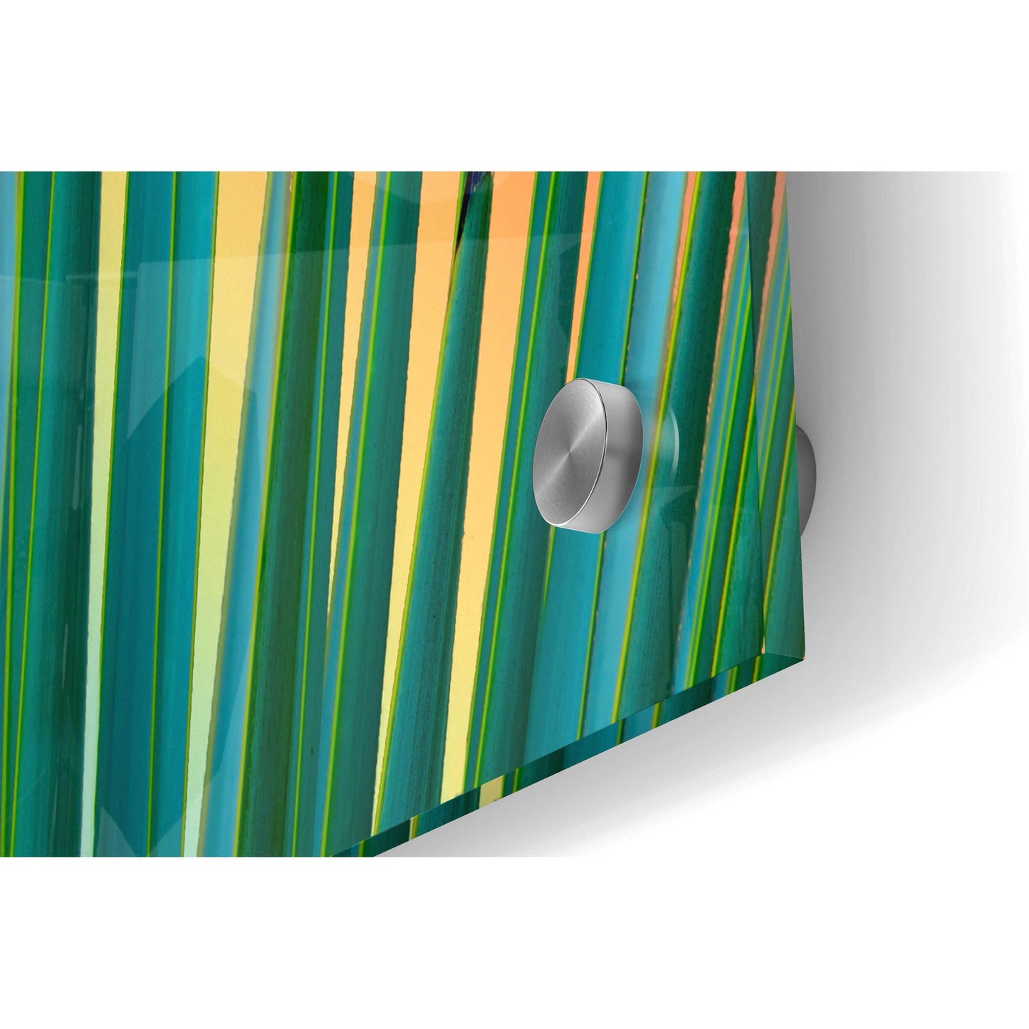 Epic Art 'Prism Plant' by Dennis Frates, Acrylic Glass Wall Art,36x24