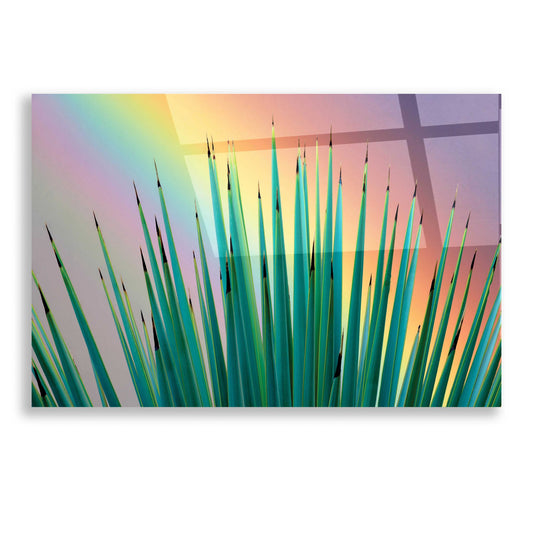 Epic Art 'Prism Plant' by Dennis Frates, Acrylic Glass Wall Art