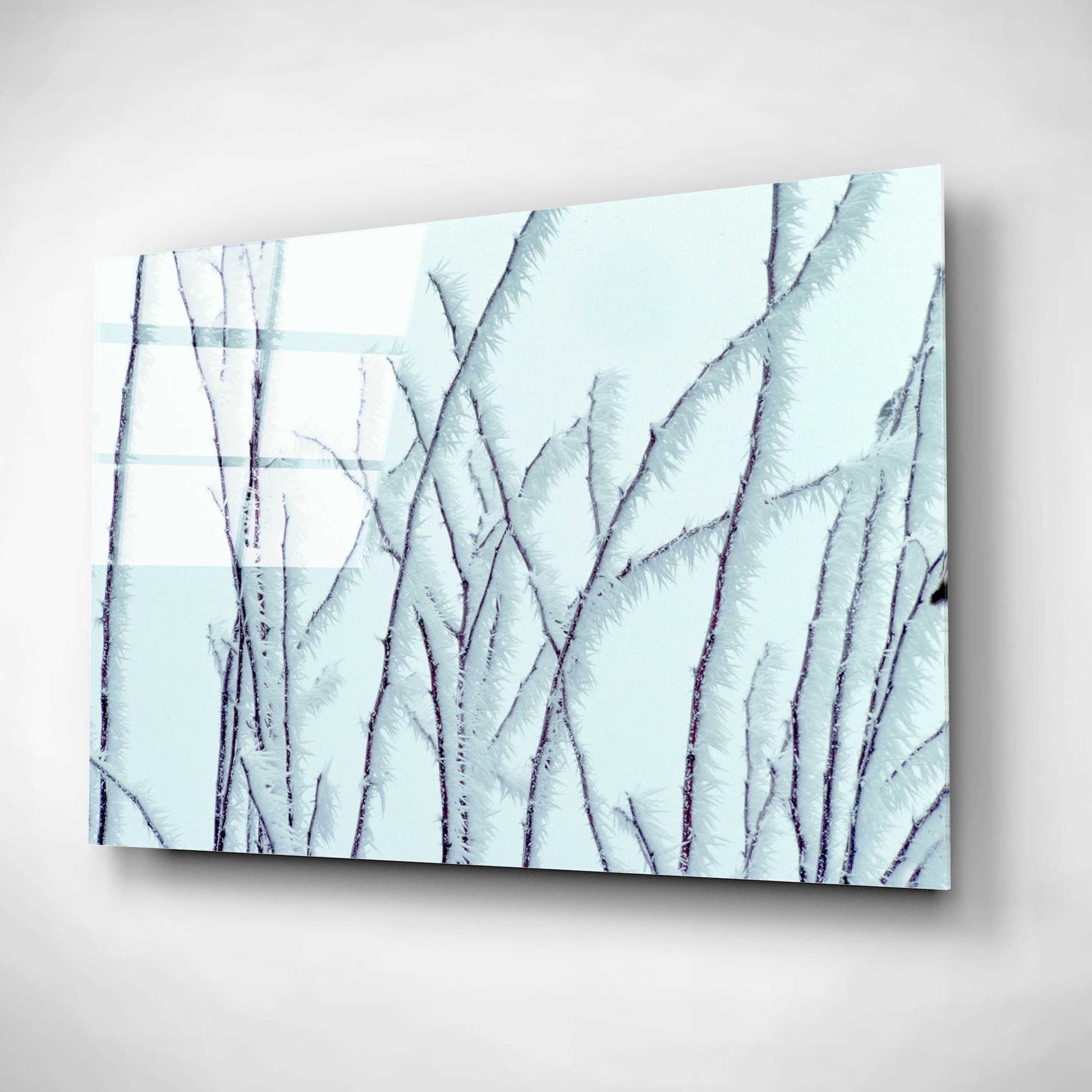 Epic Art 'Icy' by Dennis Frates, Acrylic Glass Wall Art,16x12