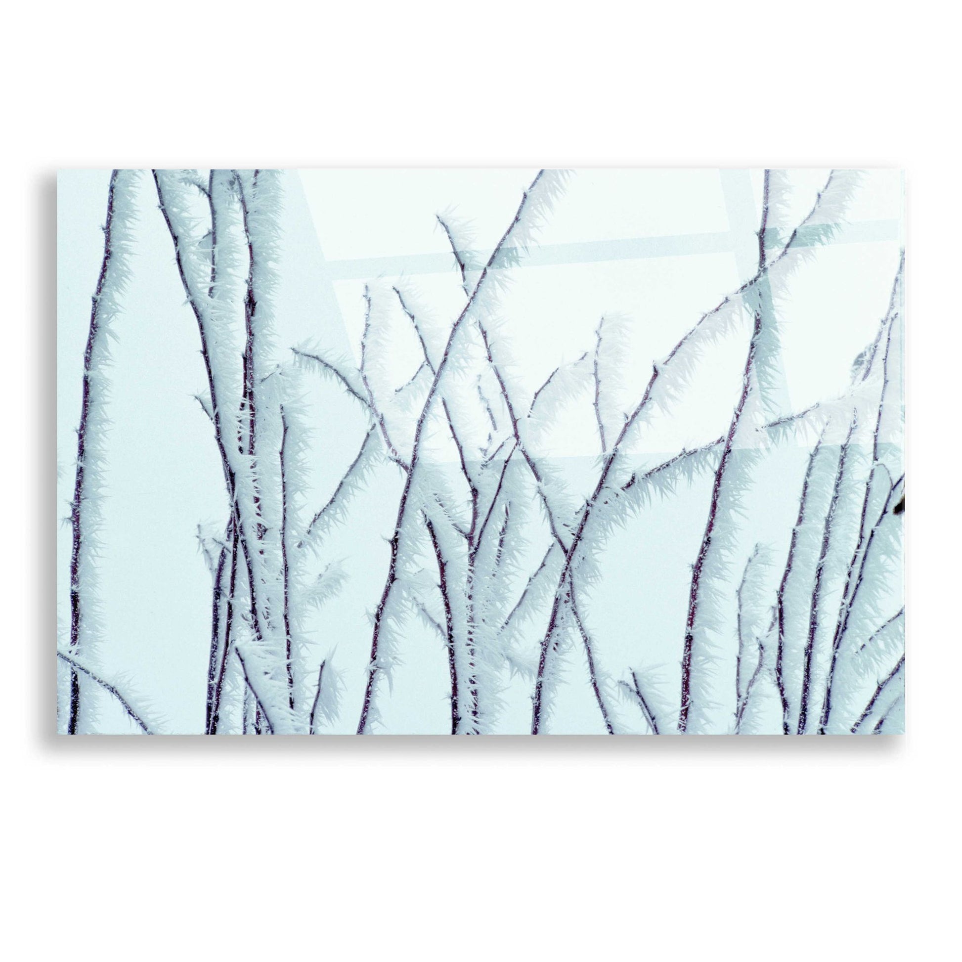 Epic Art 'Icy' by Dennis Frates, Acrylic Glass Wall Art