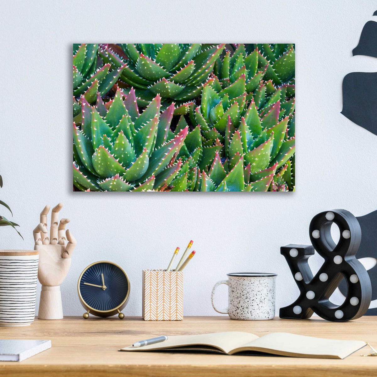 Epic Art 'Succulents II' by Dennis Frates, Acrylic Glass Wall Art,16x12
