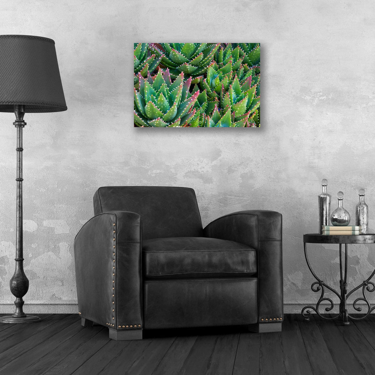 Epic Art 'Succulents II' by Dennis Frates, Acrylic Glass Wall Art,24x16