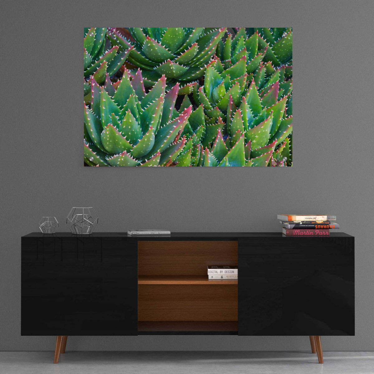 Epic Art 'Succulents II' by Dennis Frates, Acrylic Glass Wall Art,36x24