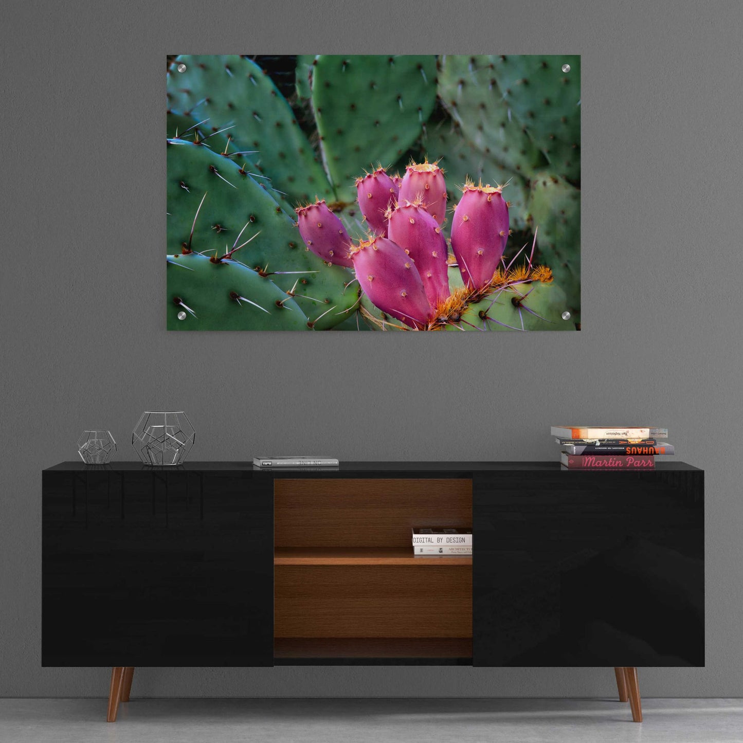 Epic Art 'Pink Cactus' by Dennis Frates, Acrylic Glass Wall Art,36x24