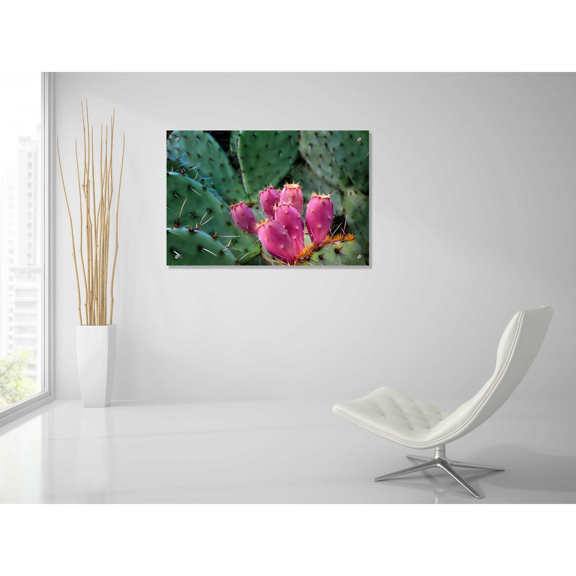 Epic Art 'Pink Cactus' by Dennis Frates, Acrylic Glass Wall Art,36x24