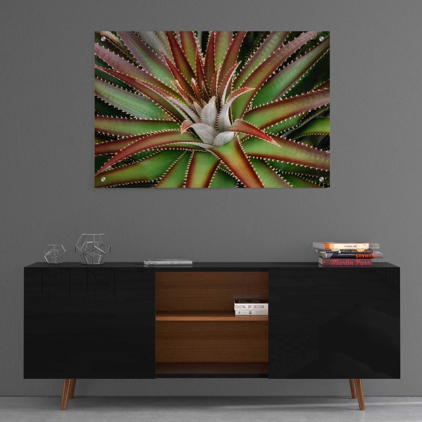 Epic Art 'Succulent VI' by Dennis Frates, Acrylic Glass Wall Art,36x24