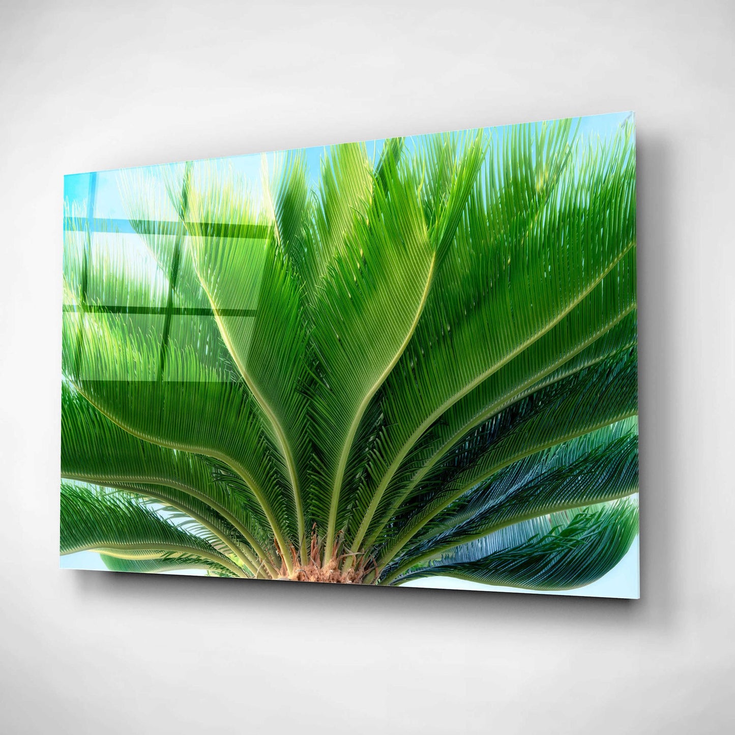Epic Art 'Tropical III' by Dennis Frates, Acrylic Glass Wall Art,24x16