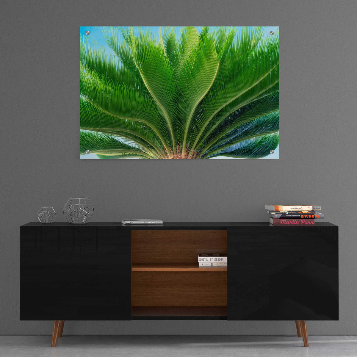 Epic Art 'Tropical III' by Dennis Frates, Acrylic Glass Wall Art,36x24