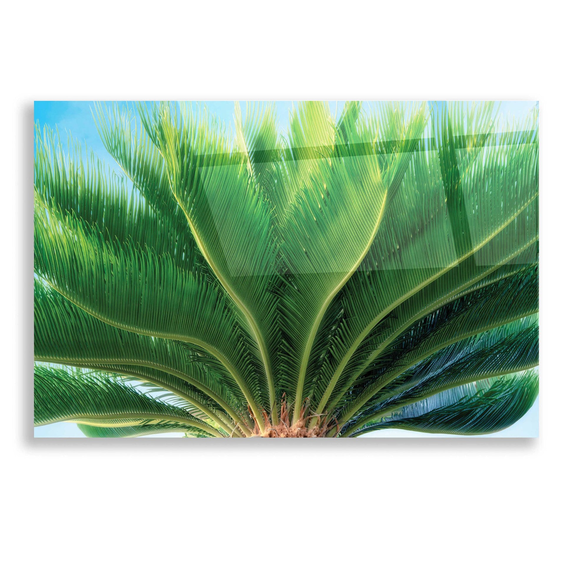 Epic Art 'Tropical III' by Dennis Frates, Acrylic Glass Wall Art