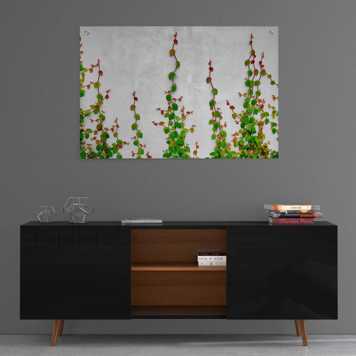 Epic Art 'Vine' by Dennis Frates, Acrylic Glass Wall Art,36x24