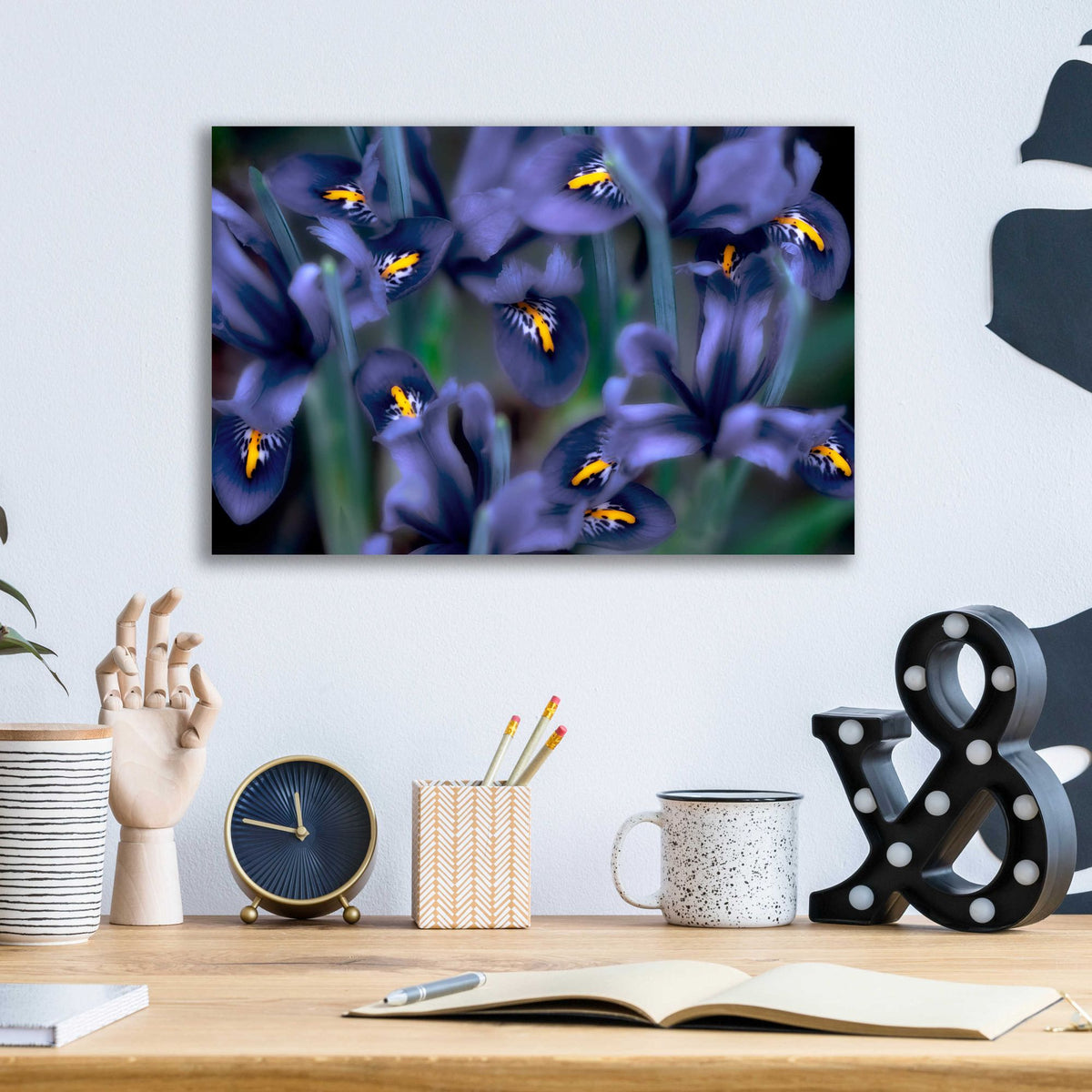 Epic Art 'Irises' by Dennis Frates, Acrylic Glass Wall Art,16x12