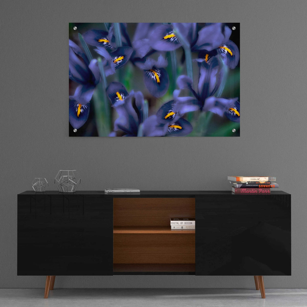 Epic Art 'Irises' by Dennis Frates, Acrylic Glass Wall Art,36x24