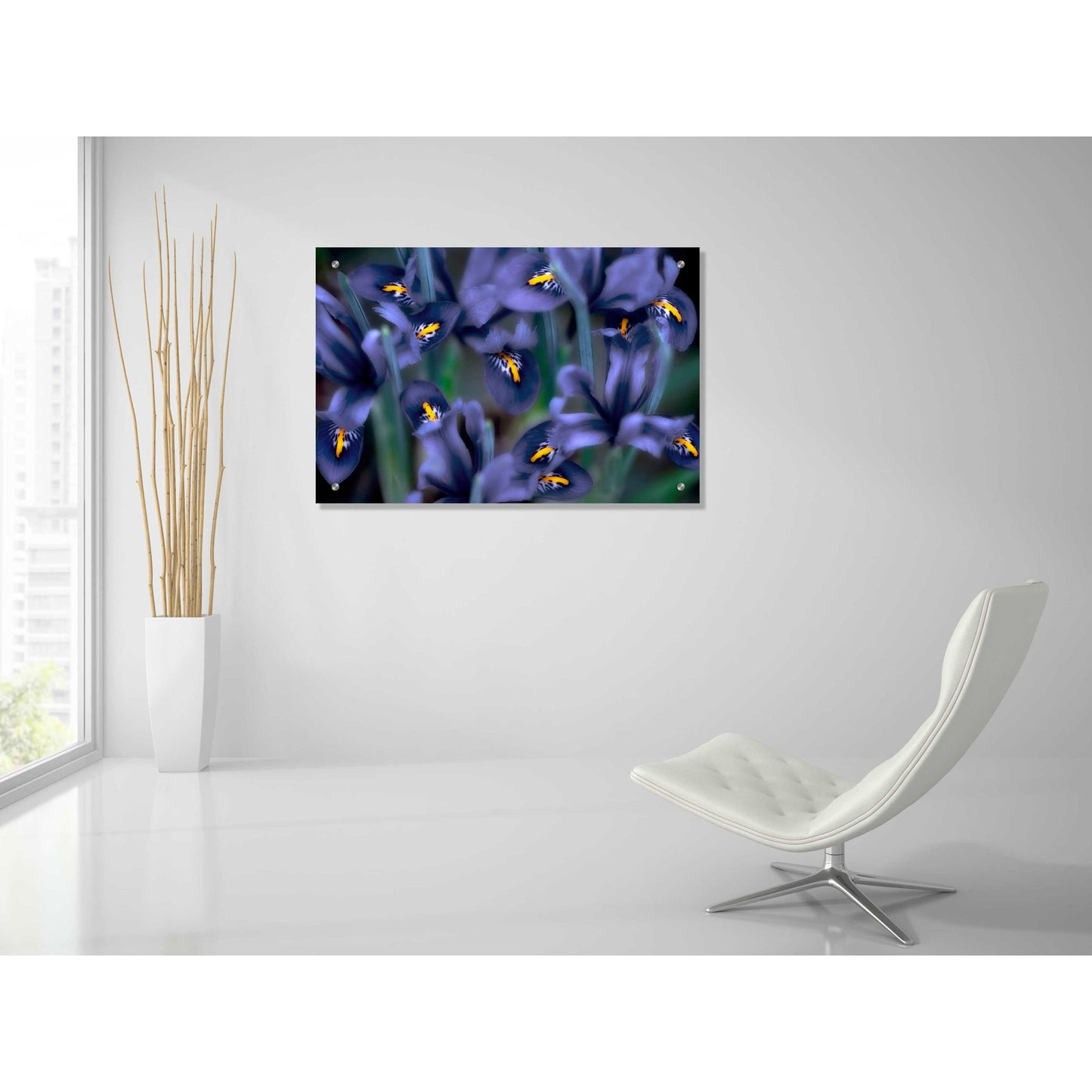 Epic Art 'Irises' by Dennis Frates, Acrylic Glass Wall Art,36x24
