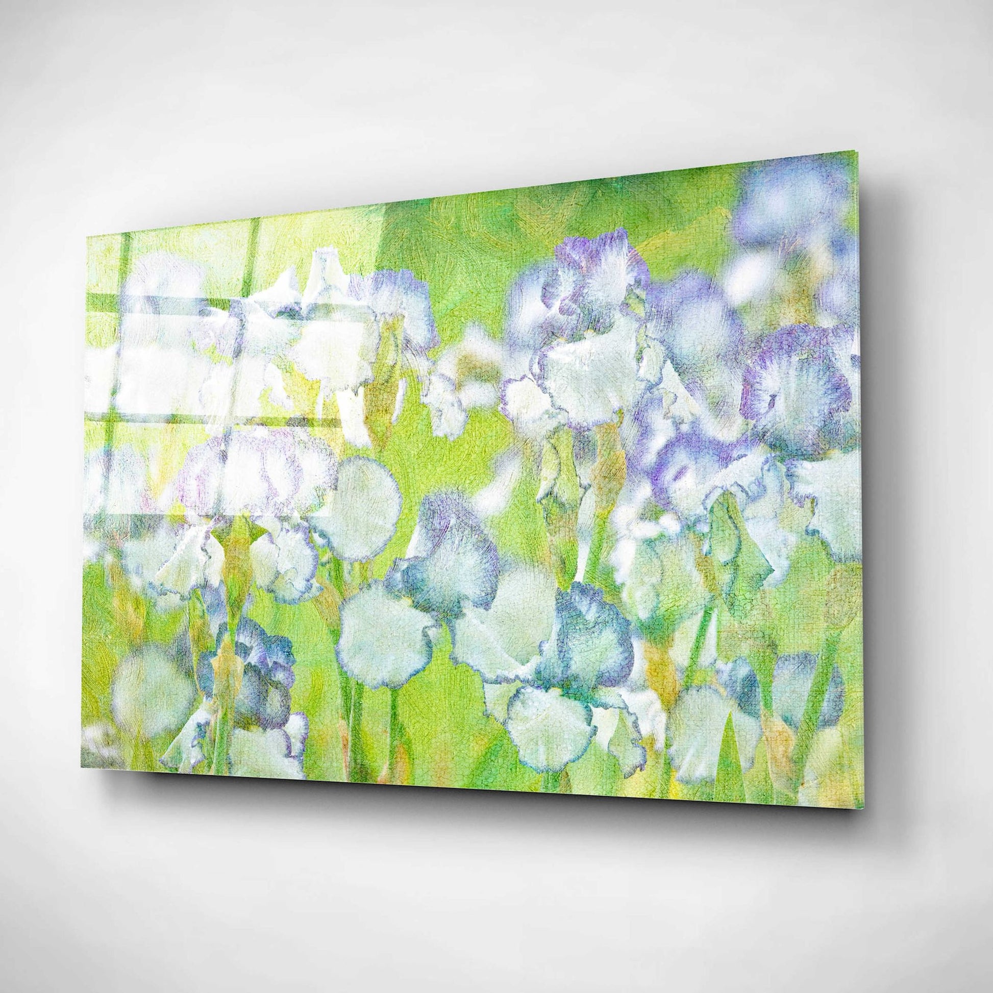 Epic Art 'Lime Floral' by Dennis Frates, Acrylic Glass Wall Art,16x12