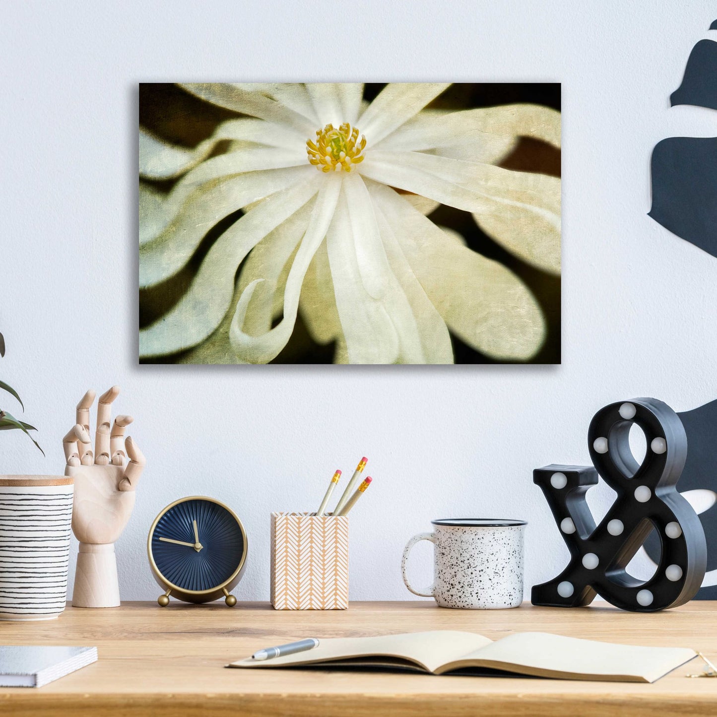 Epic Art 'White Flower' by Dennis Frates, Acrylic Glass Wall Art,16x12