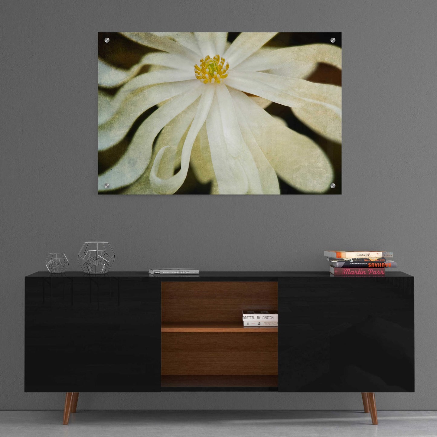 Epic Art 'White Flower' by Dennis Frates, Acrylic Glass Wall Art,36x24