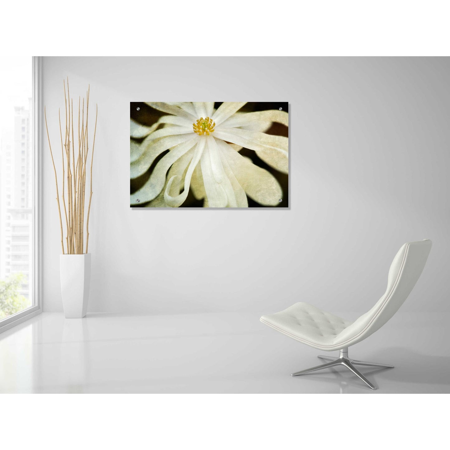 Epic Art 'White Flower' by Dennis Frates, Acrylic Glass Wall Art,36x24