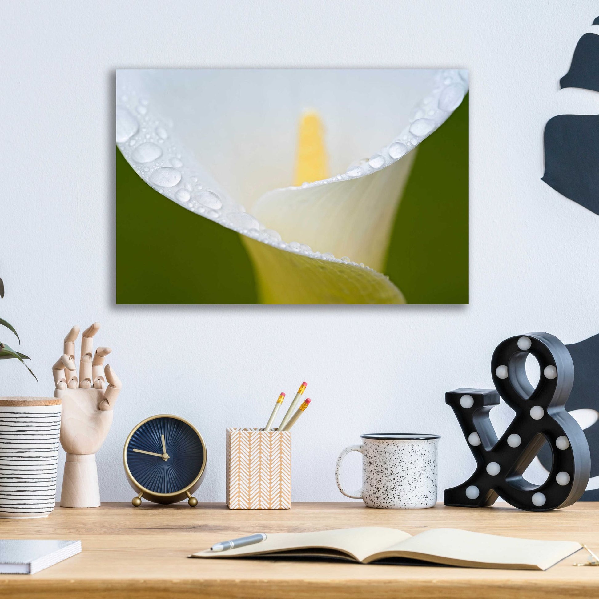 Epic Art 'White Flower II' by Dennis Frates, Acrylic Glass Wall Art,16x12