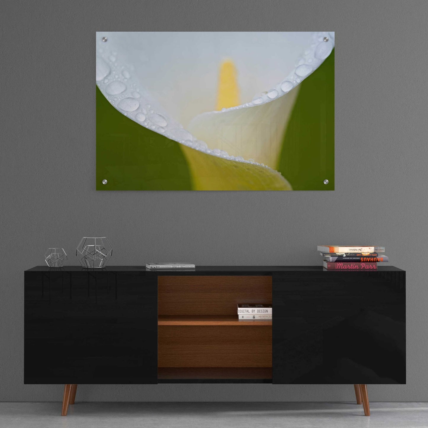 Epic Art 'White Flower II' by Dennis Frates, Acrylic Glass Wall Art,36x24