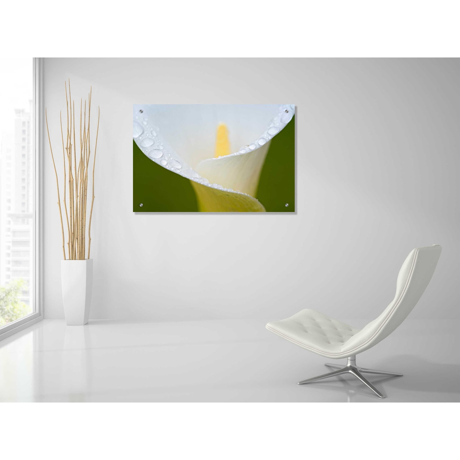 Epic Art 'White Flower II' by Dennis Frates, Acrylic Glass Wall Art,36x24