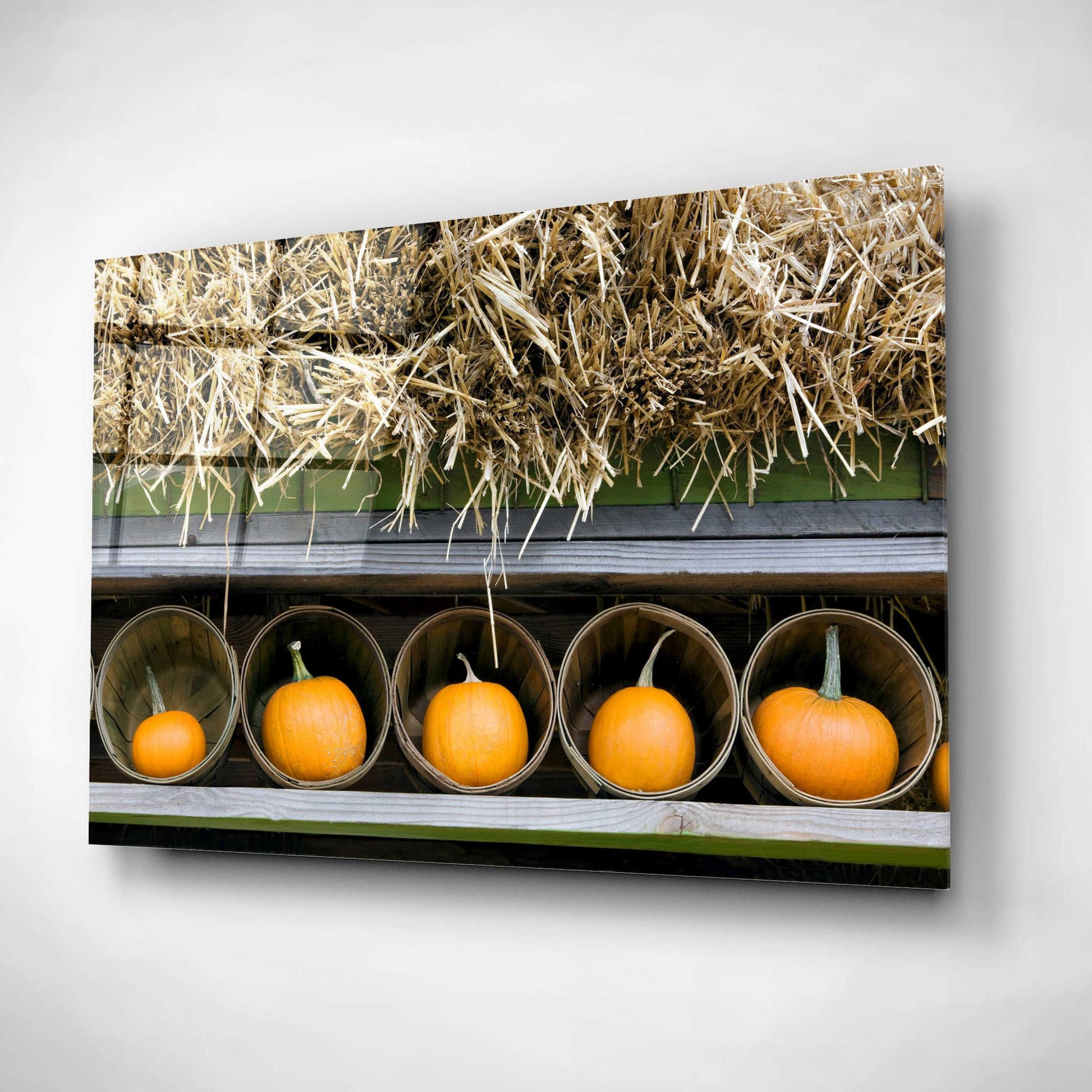 Epic Art 'More Pumpkins' by Dennis Frates, Acrylic Glass Wall Art,24x16