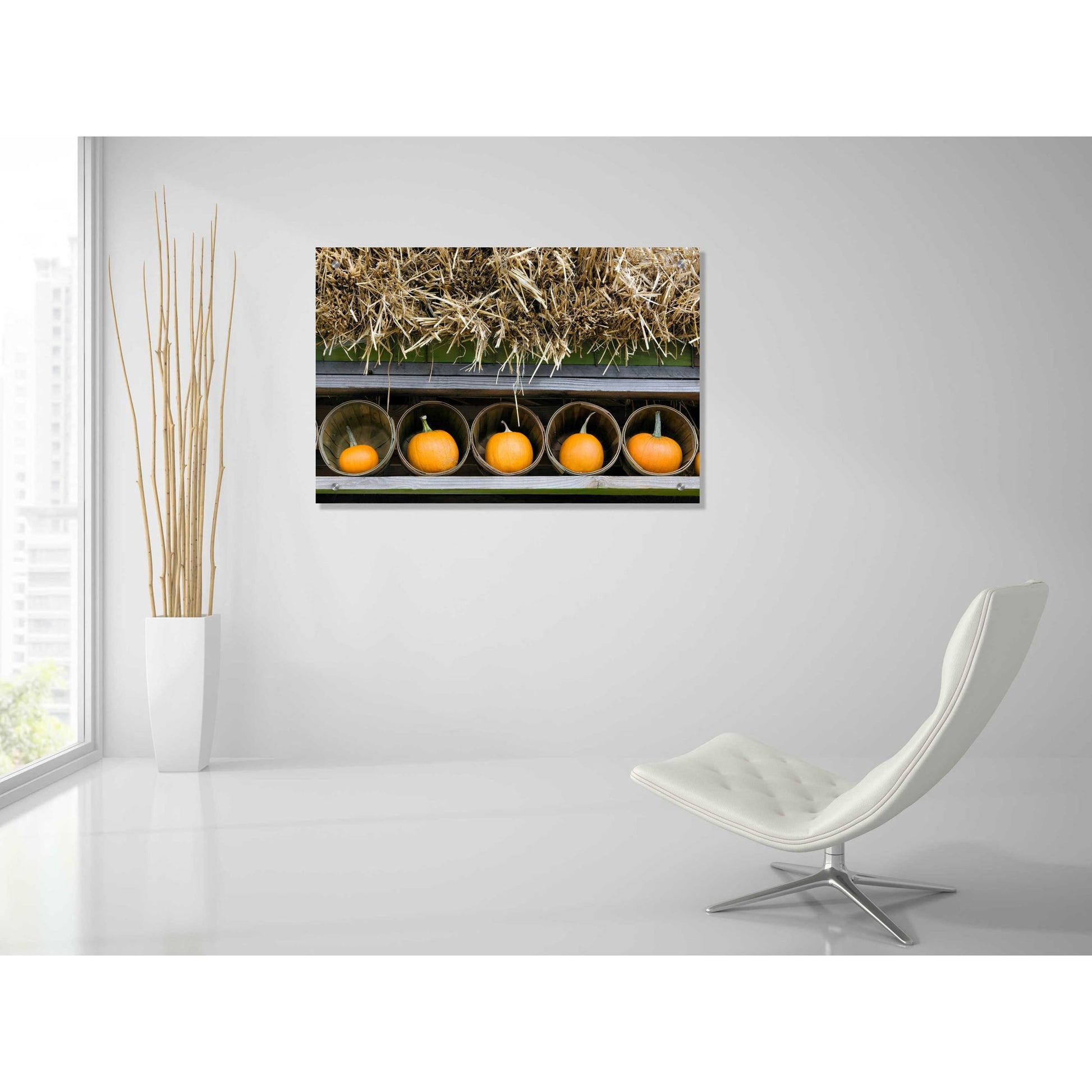 Epic Art 'More Pumpkins' by Dennis Frates, Acrylic Glass Wall Art,36x24