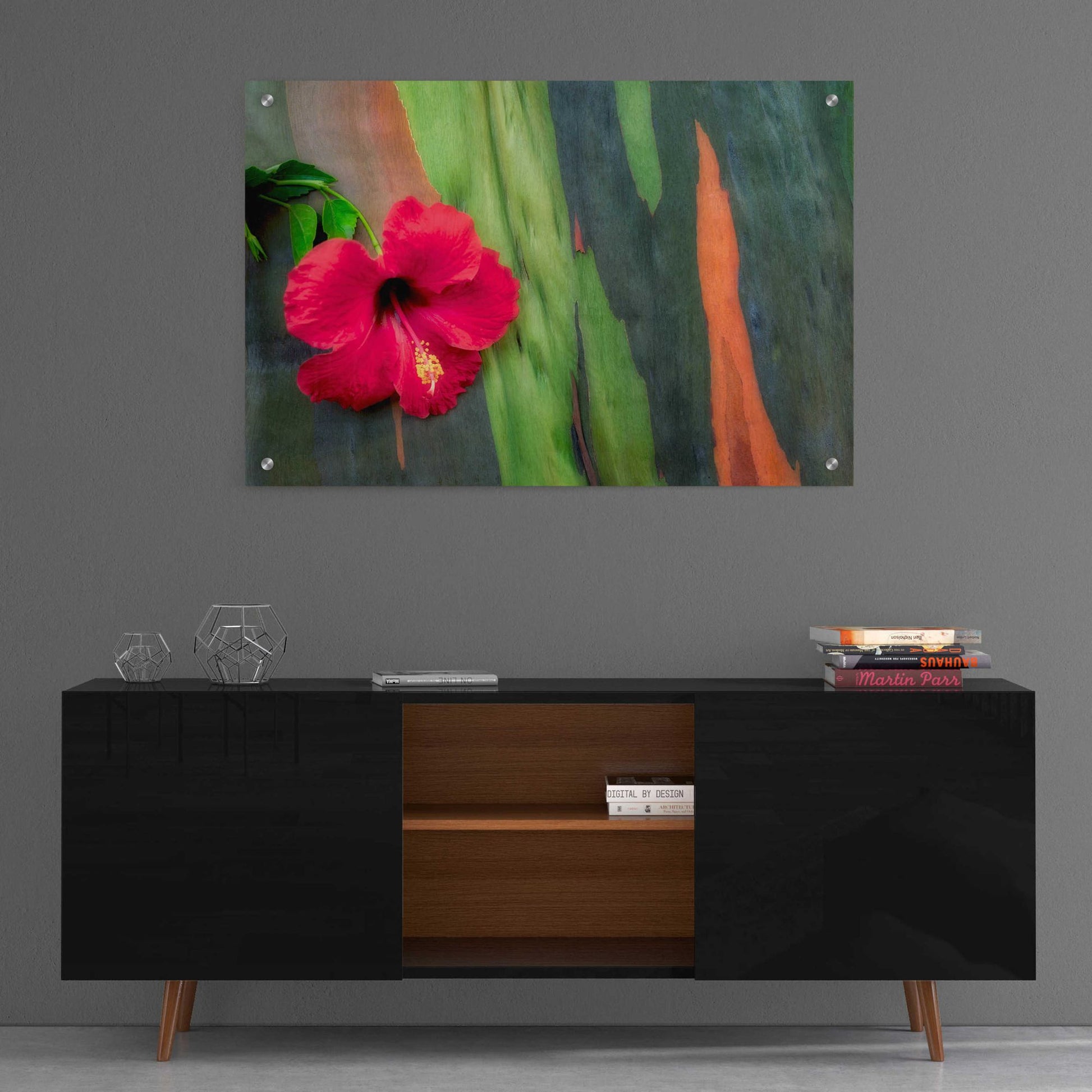 Epic Art 'Hibiscus' by Dennis Frates, Acrylic Glass Wall Art,36x24