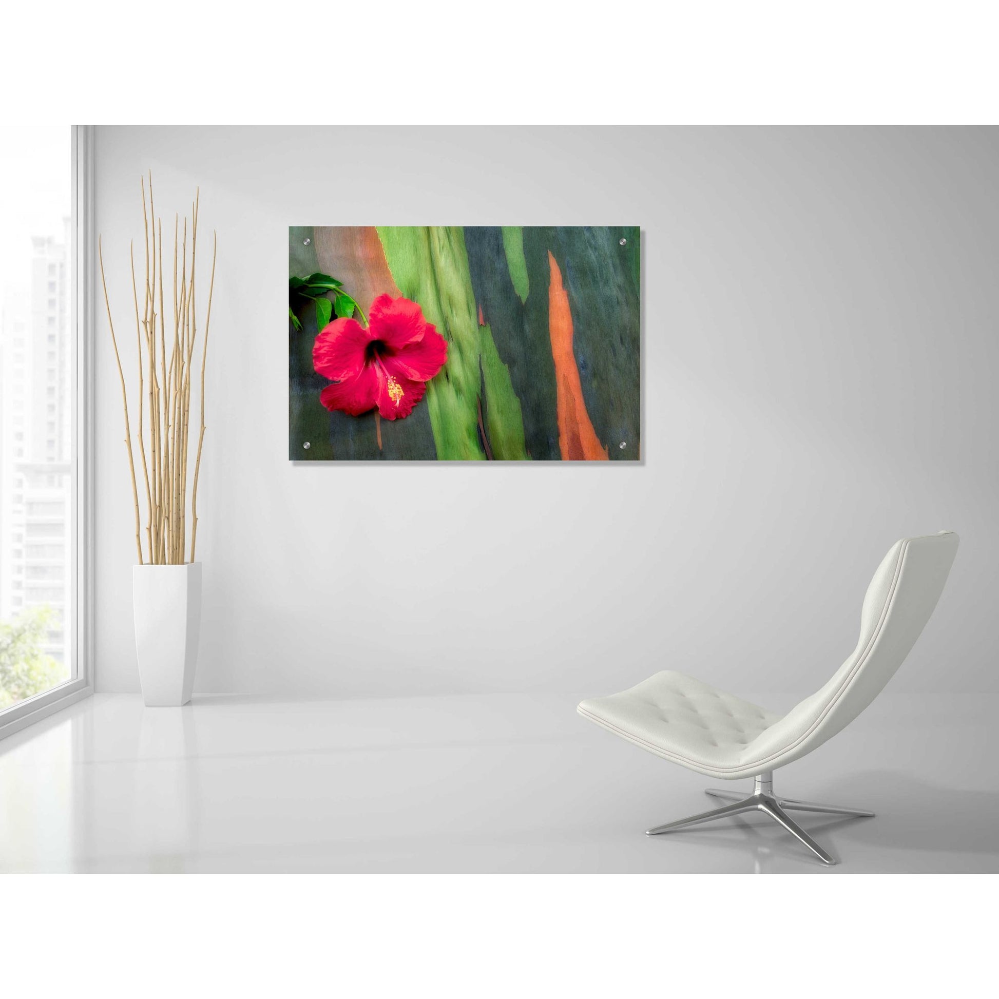 Epic Art 'Hibiscus' by Dennis Frates, Acrylic Glass Wall Art,36x24