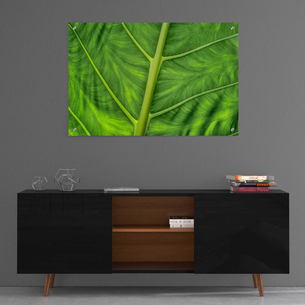 Epic Art 'Leaf Details' by Dennis Frates, Acrylic Glass Wall Art,36x24