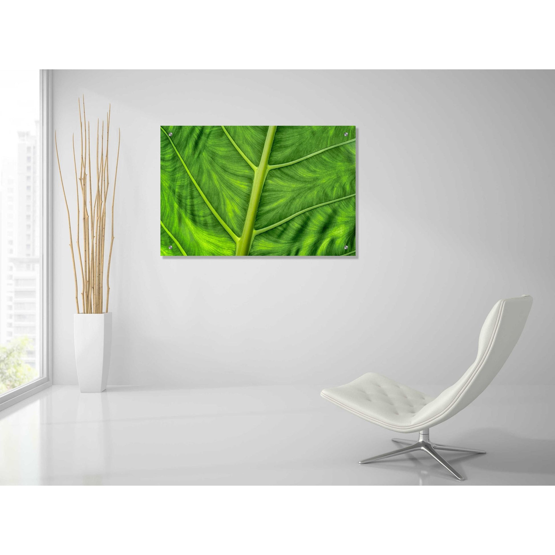 Epic Art 'Leaf Details' by Dennis Frates, Acrylic Glass Wall Art,36x24