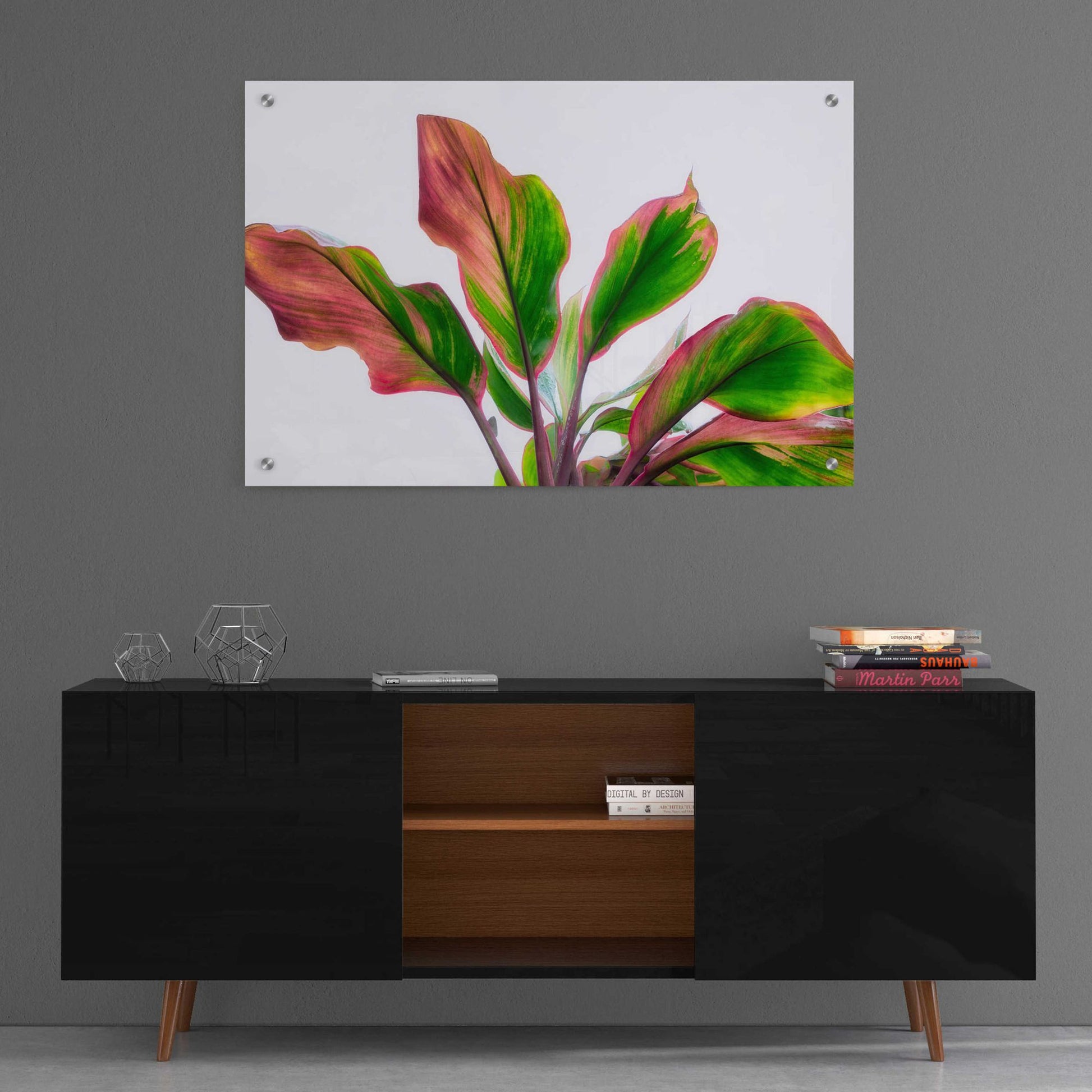 Epic Art 'Botanical' by Dennis Frates, Acrylic Glass Wall Art,36x24