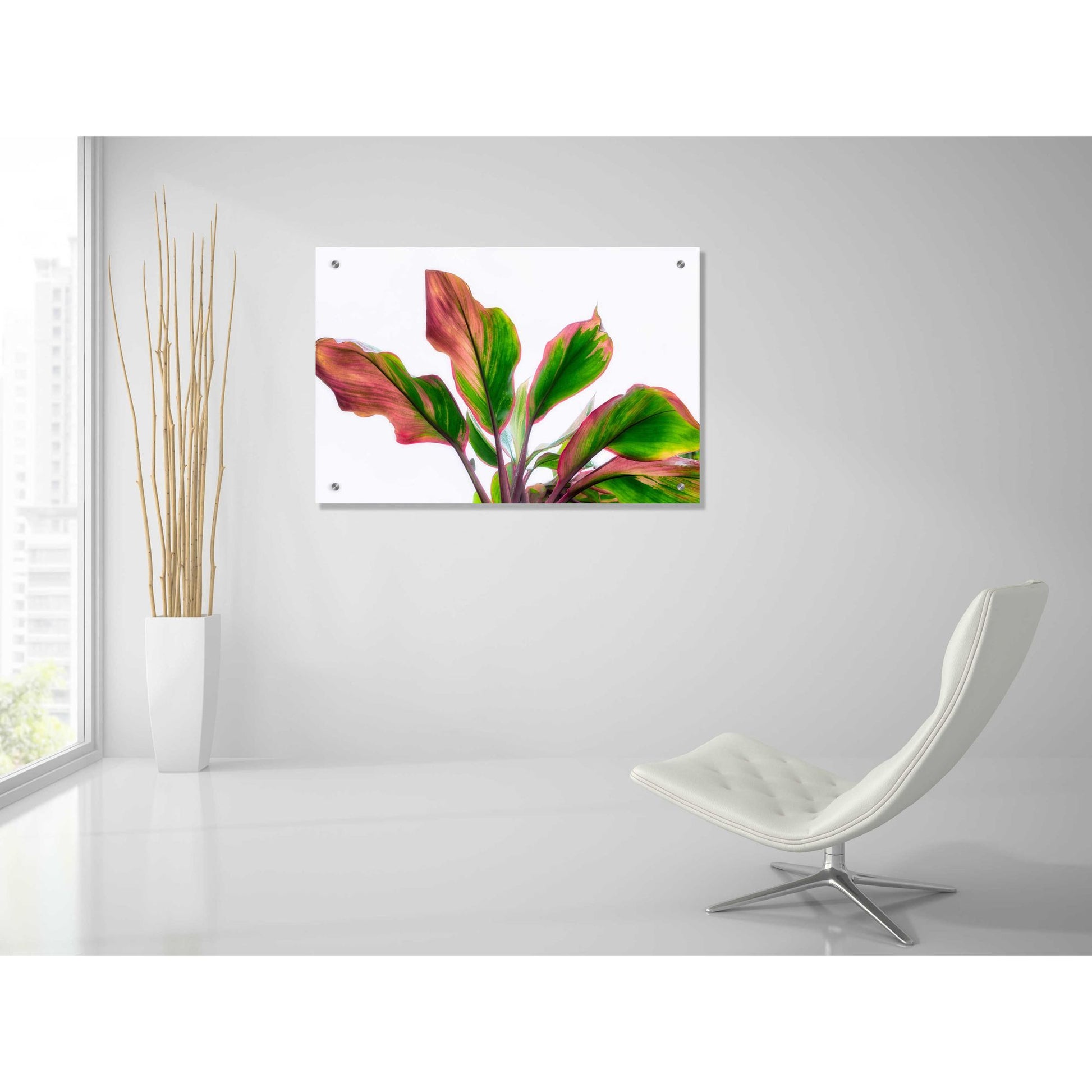 Epic Art 'Botanical' by Dennis Frates, Acrylic Glass Wall Art,36x24