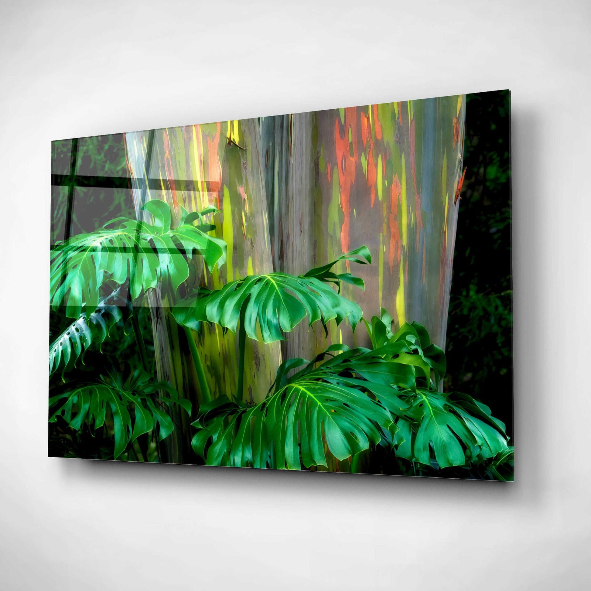 Epic Art 'Tropical Leaves' by Dennis Frates, Acrylic Glass Wall Art,16x12