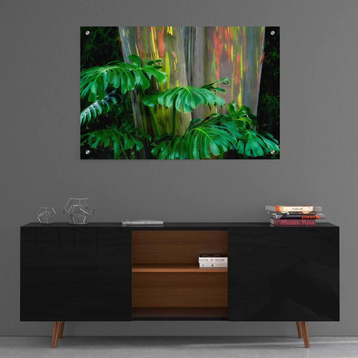 Epic Art 'Tropical Leaves' by Dennis Frates, Acrylic Glass Wall Art,36x24
