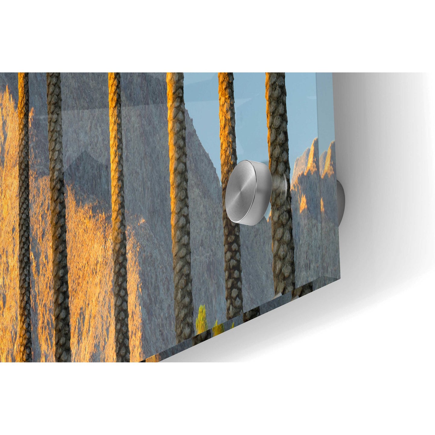 Epic Art 'Trees' by Dennis Frates, Acrylic Glass Wall Art,36x12