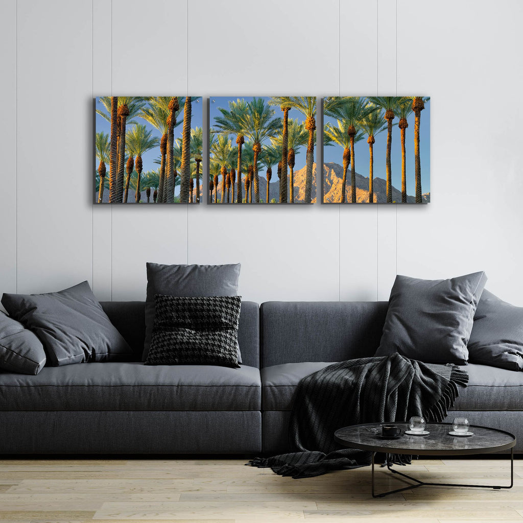 Epic Art 'Trees' by Dennis Frates, Acrylic Glass Wall Art, 3 Piece Set,72x24