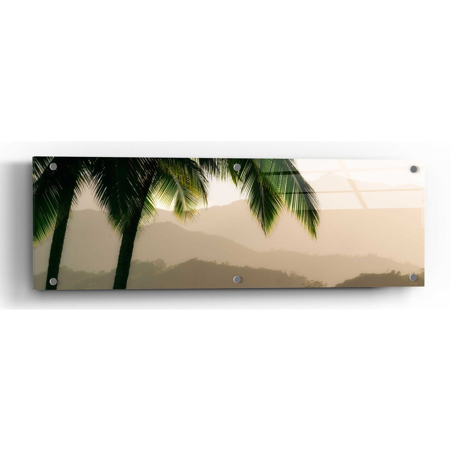 Epic Art 'Misty Palms IV' by Dennis Frates, Acrylic Glass Wall Art