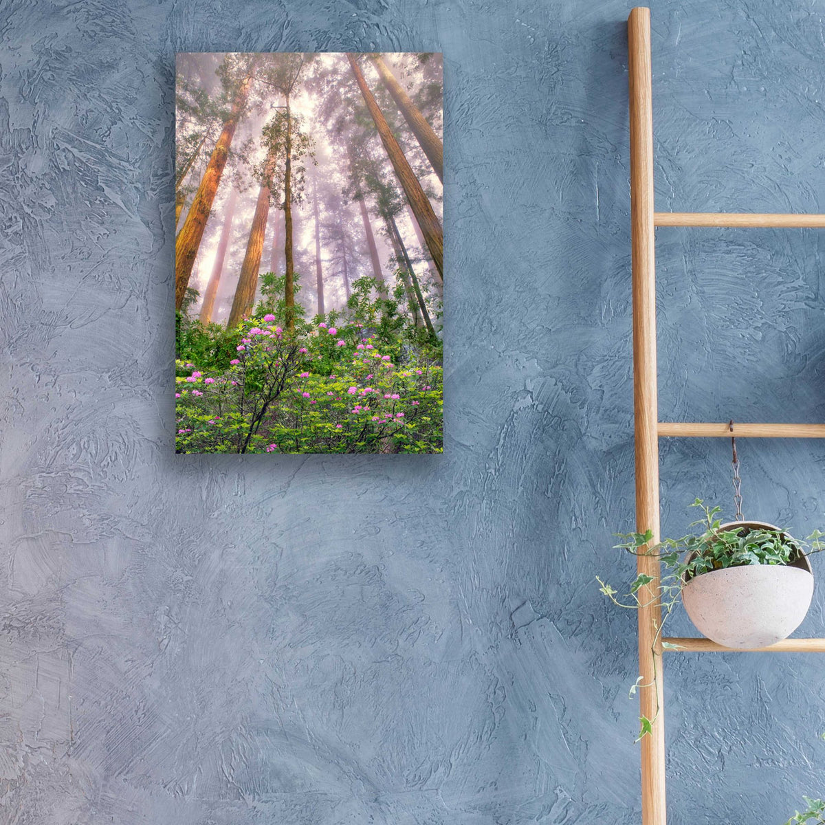 Epic Art 'Look Up' by Dennis Frates, Acrylic Glass Wall Art,16x24