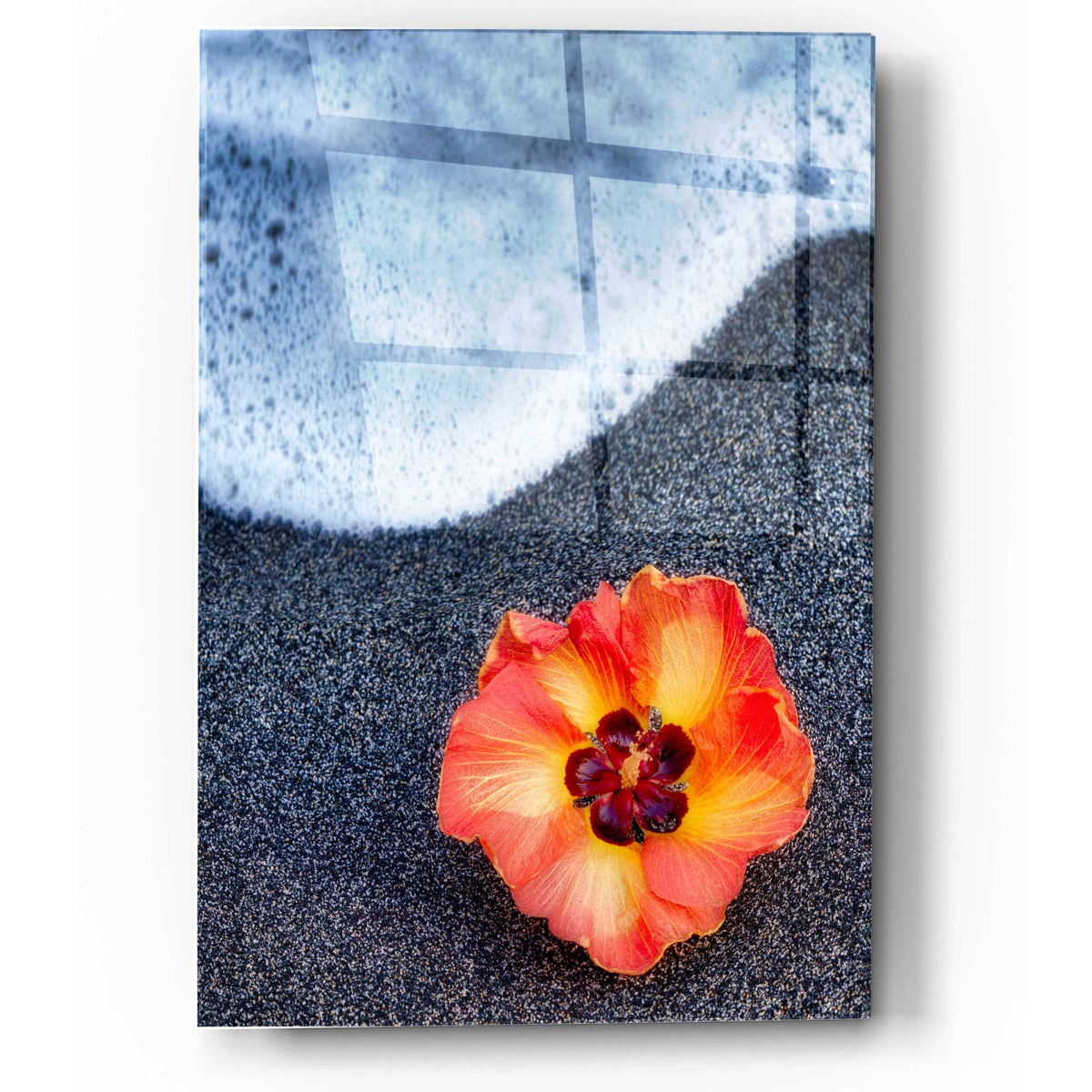 Epic Art 'Beach Floral' by Dennis Frates, Acrylic Glass Wall Art