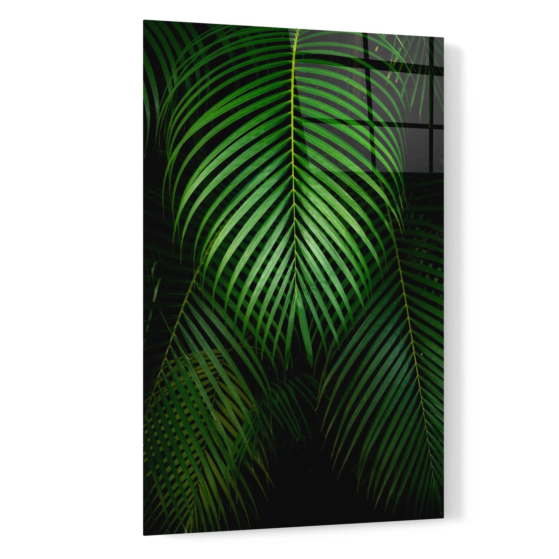 Epic Art 'Tropical IV' by Dennis Frates, Acrylic Glass Wall Art,16x24