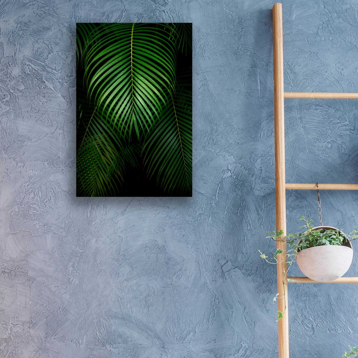 Epic Art 'Tropical IV' by Dennis Frates, Acrylic Glass Wall Art,16x24