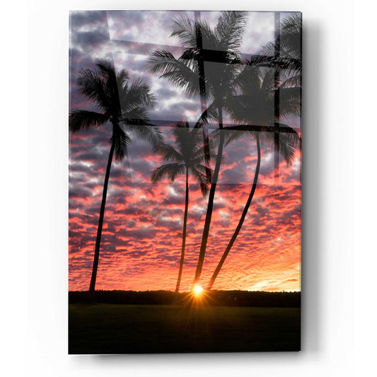 Epic Art 'Sunset Silhouette' by Dennis Frates, Acrylic Glass Wall Art