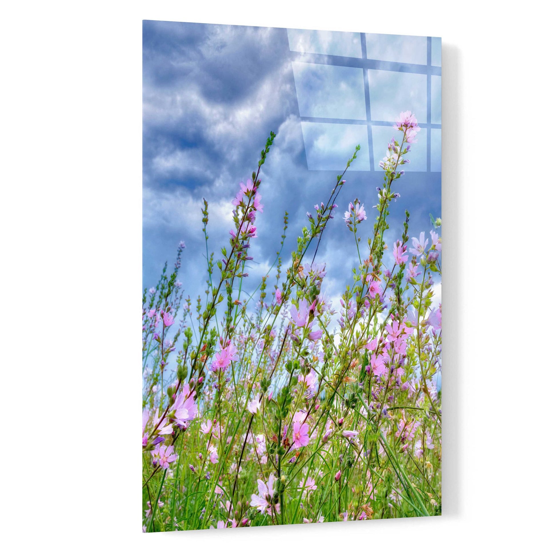 Epic Art 'Wild Flowers' by Dennis Frates, Acrylic Glass Wall Art,16x24