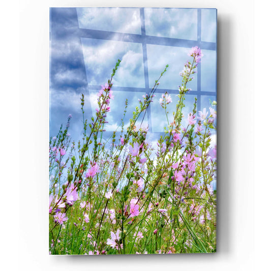Epic Art 'Wild Flowers' by Dennis Frates, Acrylic Glass Wall Art