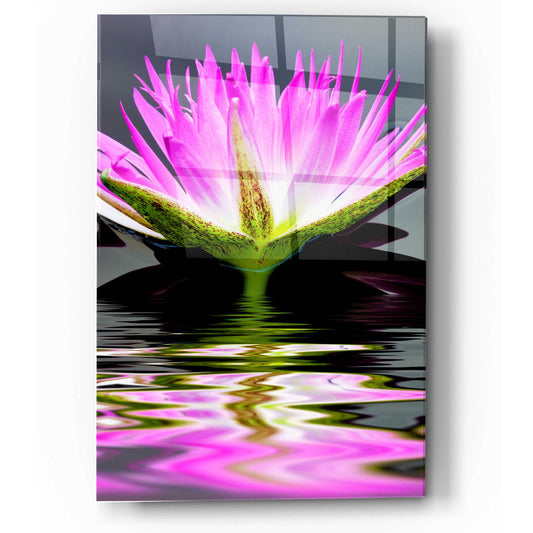 Epic Art 'Purple Reflection' by Dennis Frates, Acrylic Glass Wall Art